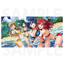 ドルフィンウェーブ BIGタオル